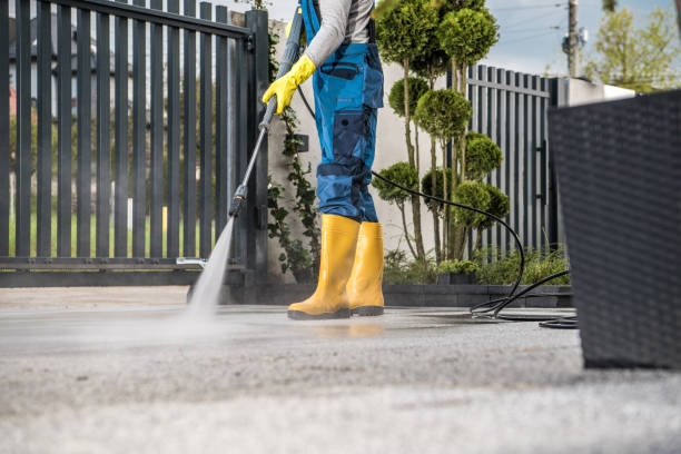 Roof Power Washing Services in Hudson, IL
