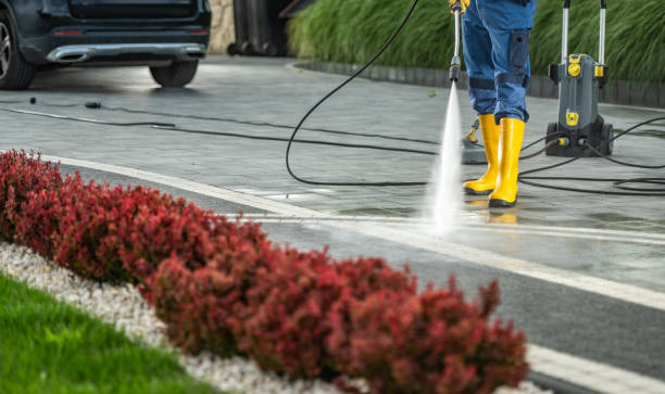 Best Roof Pressure Washing  in Hudson, IL